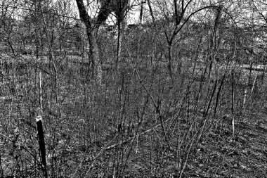 Monokrom dokusu. Siyah beyaz arka plan. Soyut grunge arkaplanı.