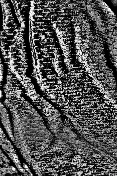 Fondo Grunge Abstracto Textura Monocromática Imagen Que Incluye Efecto Los —  Fotos de Stock