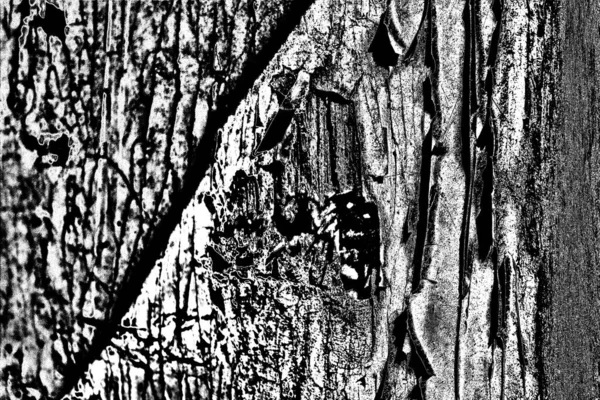 Résumé Fond Grunge Texture Monochrome Image Incluant Effet Des Tons — Photo