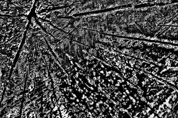 Monochrome Textuur Zwart Met Witte Achtergrond Abstract Grunge Achtergrond — Stockfoto