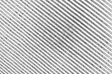 Soyut grunge arkaplanı. Monokrom dokusu. Siyah beyaz arkaplan