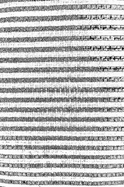 Soyut grunge arkaplanı. Monokrom dokusu. Siyah beyaz arkaplan