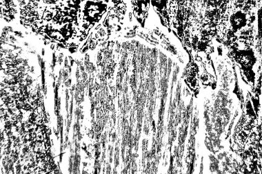 Siyah ve beyaz arkaplanlı tek renkli doku.