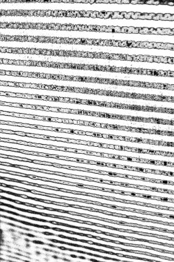 Soyut grunge arkaplanı. Monokrom dokusu. Siyah beyaz arkaplan