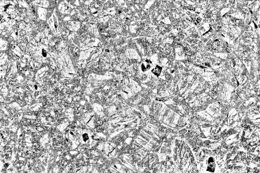 Monokrom dokusu. Siyah beyaz arka plan. Soyut grunge arkaplanı.