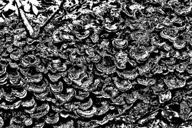 Soyut grunge arkaplanı. Monokrom dokusu. Resim siyah ve beyaz tonları içerir.