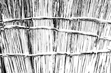 Soyut grunge arkaplanı. Monokrom dokusu. Resim siyah ve beyaz tonları içerir.