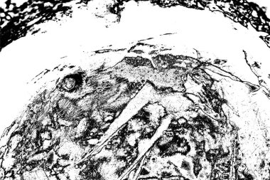 Soyut grunge arkaplanı. Monokrom dokusu. Resim siyah ve beyaz tonları içerir.