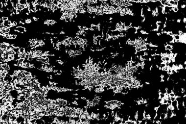 Soyut grunge arkaplanı. Monokrom dokusu. Siyah beyaz arkaplan