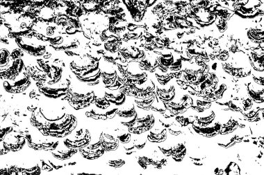 Soyut siyah-beyaz grunge arka planı. monokrom dokusu. 