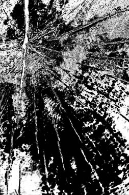 Soyut siyah beyaz arka plan. monokrom dokusu. 