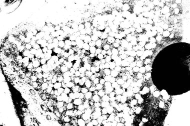 Soyut grunge arkaplanı. Monokrom dokusu. Resim siyah ve beyaz tonları içerir.