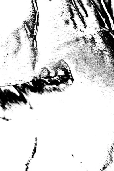 Fondo Grunge Abstracto Textura Monocromática Fondo Blanco Negro — Foto de Stock