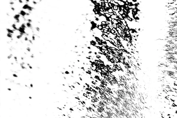 Abstract Grunge Background Monochrome Texture Image Including Effect Black White — Stock Photo, Image