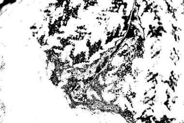 Soyut grunge arkaplanı. Monokrom dokusu. Resim siyah ve beyaz tonları içerir.