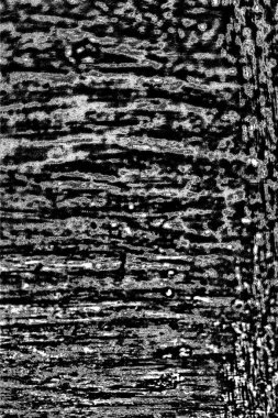 Soyut grunge arkaplanı. Monokrom dokusu. Resim siyah ve beyaz tonları içerir.