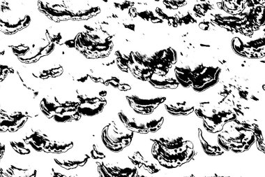 Soyut siyah-beyaz grunge arka planı. monokrom dokusu. 