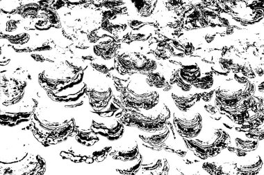 Soyut siyah-beyaz grunge arka planı. monokrom dokusu. 