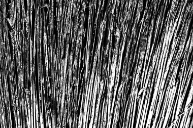 Soyut grunge arkaplanı. Monokrom dokusu. Resim siyah ve beyaz tonları içerir.