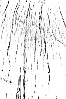 Soyut grunge arkaplanı. Monokrom dokusu. Resim siyah ve beyaz tonları içerir.