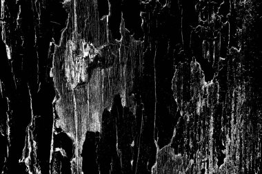 Soyut grunge arkaplanı. Monokrom dokusu. Siyah beyaz arkaplan