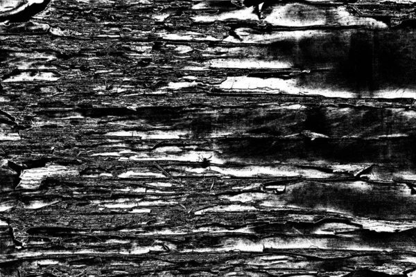 Abstract Grunge Background Monochrome Texture Image Including Effect Black White — Stock Photo, Image