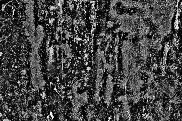 Résumé Fond Grunge Texture Monochrome Image Incluant Effet Des Tons — Photo