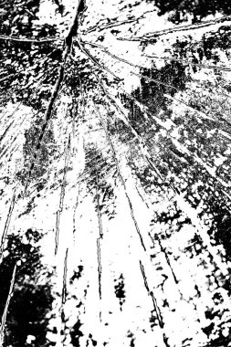 Soyut grunge arkaplanı. Monokrom dokusu. Siyah beyaz arkaplan