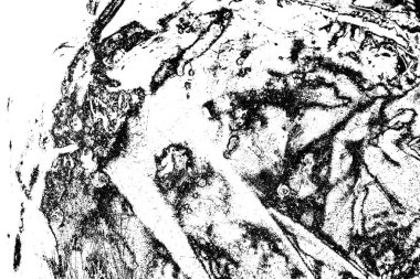 Soyut grunge arkaplanı. Monokrom dokusu. Resim siyah ve beyaz tonları içerir.