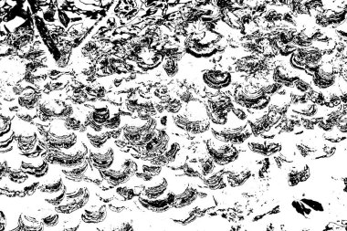 Soyut siyah-beyaz grunge arka planı. monokrom dokusu. 