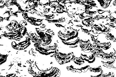 Soyut siyah-beyaz grunge arka planı. monokrom dokusu. 