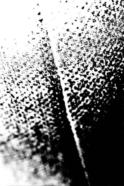 Fondo Grunge Abstracto Blanco Negro Textura Monocromática —  Fotos de Stock