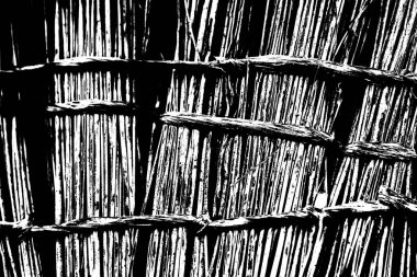 Soyut grunge arkaplanı. Monokrom dokusu. Siyah beyaz arkaplan