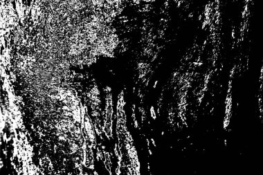 Soyut grunge arkaplanı. Monokrom dokusu. Siyah beyaz arkaplan