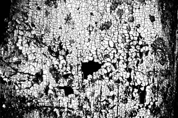 Abstract Grunge Background Monochrome Texture Black White Background — Stock Photo, Image