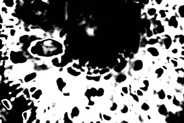 Fondo Grunge Abstracto Textura Monocromática Fondo Blanco Negro —  Fotos de Stock