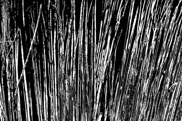 Abstract Grunge Background Monochrome Texture Black White Background — Stock Photo, Image