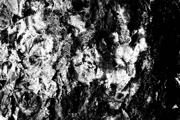 抽象的な黒と白の背景 モノクロームの質感 — ストック写真