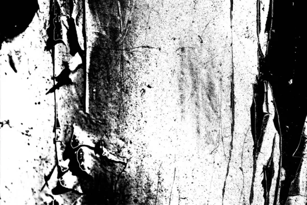 Résumé Fond Grunge Texture Monochrome Image Incluant Effet Des Tons — Photo