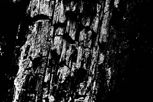 Résumé Fond Grunge Texture Monochrome Fond Noir Blanc — Photo