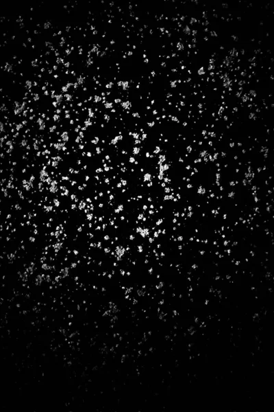 Sfondo Astratto Bianco Nero Texture Monocromatica — Foto Stock