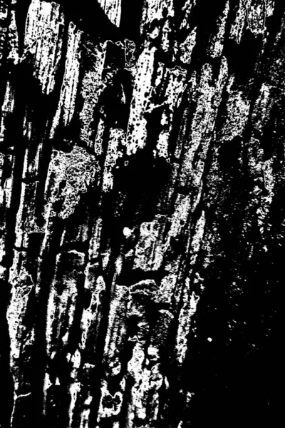 Abstract Grunge Background Monochrome Texture Black White Background — Stock Photo, Image