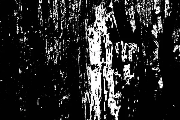 Fondo Grunge Abstracto Textura Monocromática Fondo Blanco Negro —  Fotos de Stock