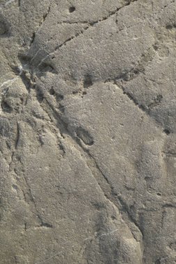 eski duvar desenli arkaplan