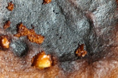 Yanmış hamur yüzeyi, kopyalama alanı