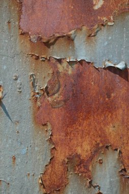 Dökülen boya paslı metal dokusu