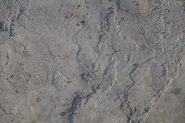 Beton duvar desenli arka plan