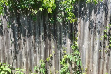 soyut ahşap yapı arkaplanı