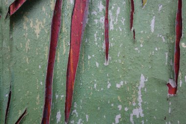 eski duvar desenli arkaplan, kopyalama alanı