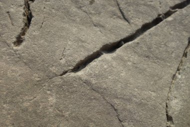 eski duvar desenli arkaplan